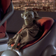 Here is a picture of Yaddle